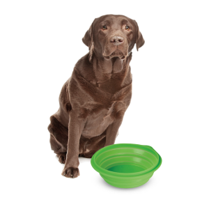 Ciotola da viaggio per animali - 1000 ml