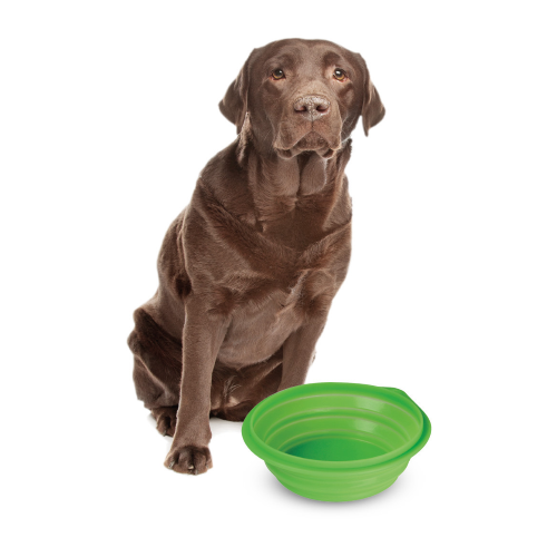 Ciotola da viaggio per animali - 1000 ml