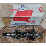 ALBERO CAMBIO TRIPLO PER FIAT 500 F ORIGINALE FIAT 4085089
