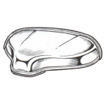 FANALINO LUCE TARGA FIAT 500 TT PLASTICA CROMATA