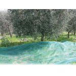 RETE PER RACCOLTA OLIVE TELO ANTISPINE SU MISURA ULTRARESISTENTE 90GR/MQ 4x6 MT