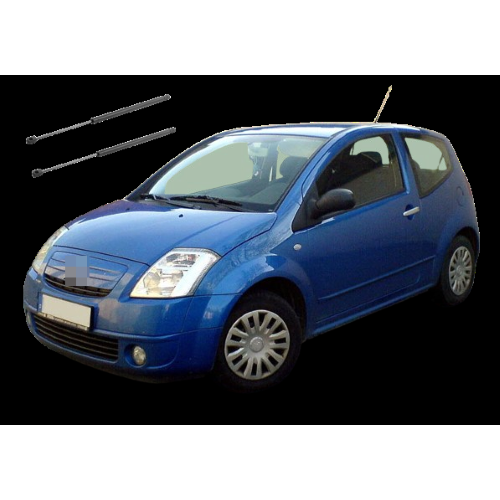 2 Molle a Gas Baule Posteriore Per Citroen C2 (JM) 09.03>