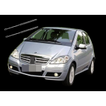 2 Molle a Gas Baule Posteriore Per Mercedes Classe A (W169) 09.04>06.12