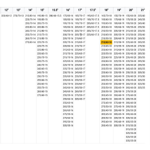 LAMPA CALZE DA NEVE GRAN PREE TAGLIA "XL" OMOLOGATE ONORM V5121 - 17153