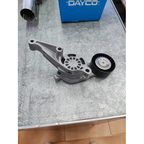 TENDICINGHIA CINGHIA POLY-V per Audi A3 Seat Alhambra