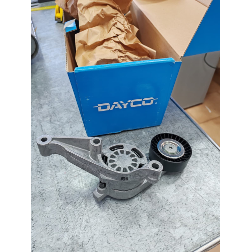 TENDICINGHIA CINGHIA POLY-V per Audi A3 Seat Alhambra