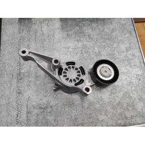 TENDICINGHIA CINGHIA POLY-V per Audi A3 Seat Alhambra