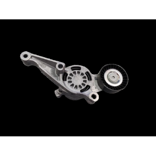 TENDICINGHIA CINGHIA POLY-V per Audi A3 Seat Alhambra