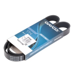 DAYCO 6PK996 Cinghia servizi 996,0mm, 6