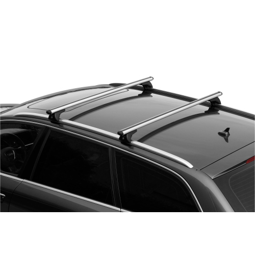 Alumia In-Rail, set completo barre portatutto in alluminio - S - Evos IA