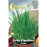 Semi Orto Erba Cipollina