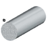 Profilo Argento H.100 Tondo Pieno D.10 **