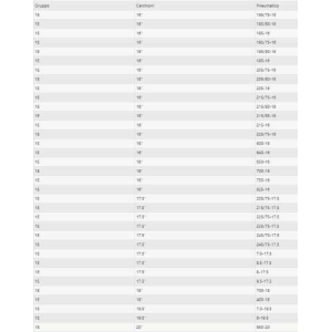 Cingoli Europa Catene a Settori - Cingoli per Camion e Autobus GR 2E