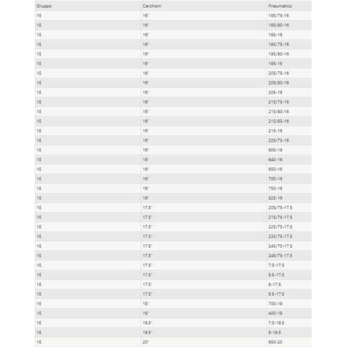 Cingoli Europa Catene a Settori - Cingoli per Camion e Autobus GR 2E