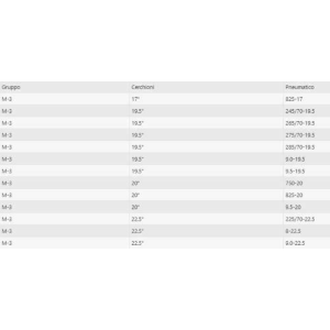 Cingoli Standard Catene a Settori - Cingoli per Camion e Autobus GR M-3