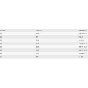 Cingoli Europa-Pro Catene a Settori - Cingoli per Camion e Autobus GR 3E
