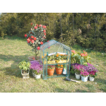 Serra Da Giardino Cm. 69X49X95H