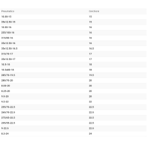 CARGO PLUS PROFESSIONAL EVO Coppia catene da neve per veicoli industriali GR CP07
